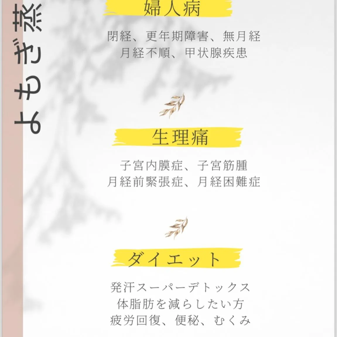 コルギで美容✖️健康を提供します✨