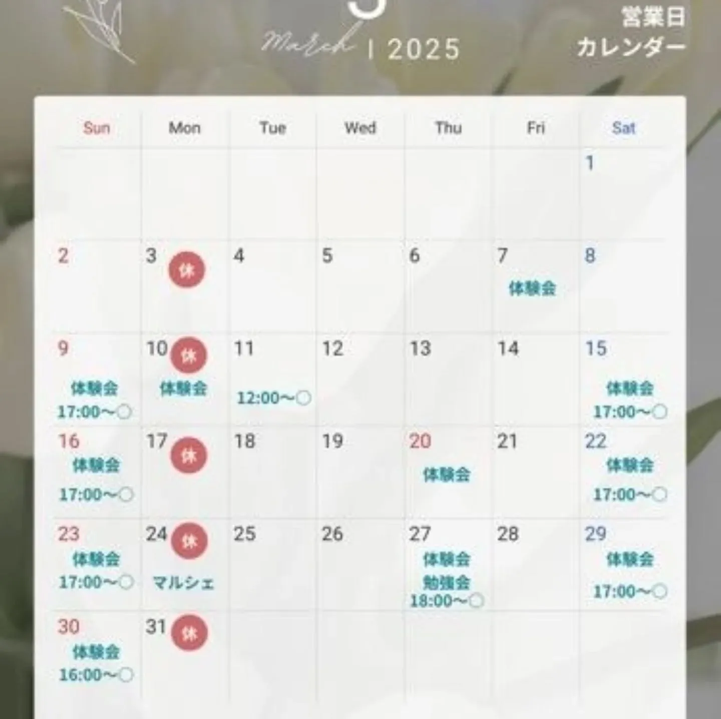 小顔コルギと韓国肌管理で貴方史上最高の美顔に導きます✨✨✨