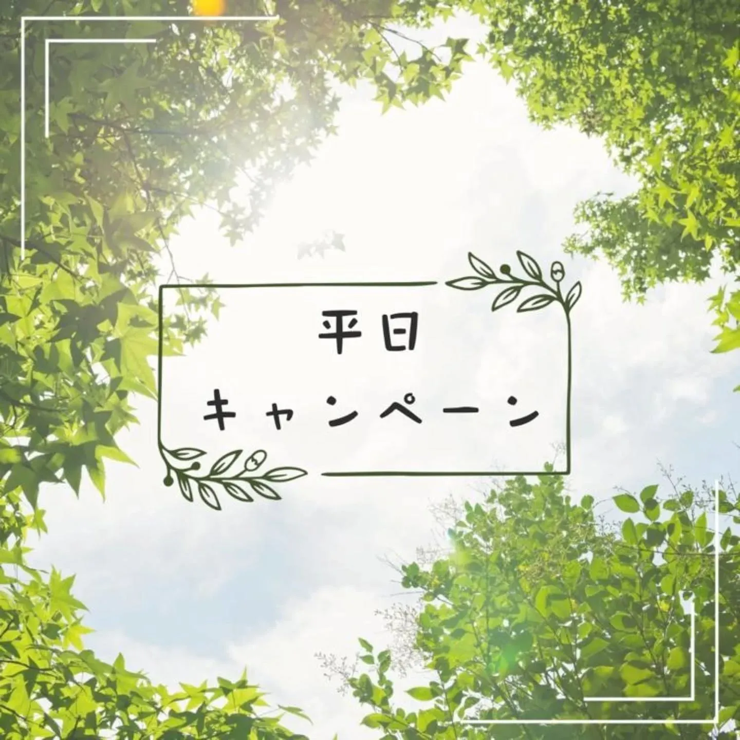 ＼平日限定✨特別キャンペーン／